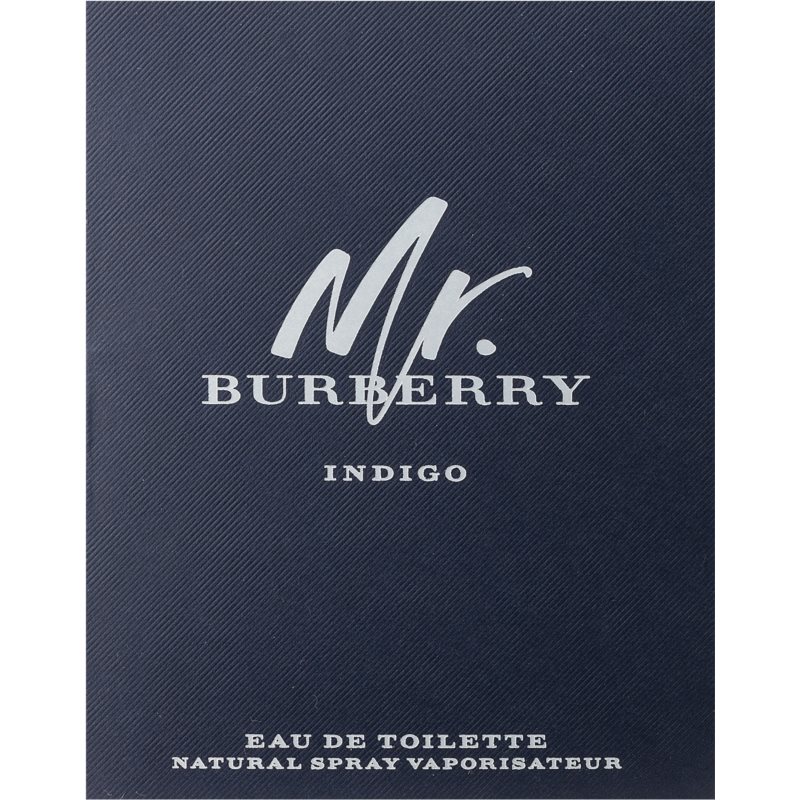 Burberry Mr. Burberry Indigo Eau de Toilette